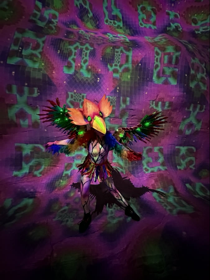 LED, UV & Glow Performers